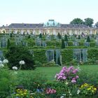 Schloß Sanssouci