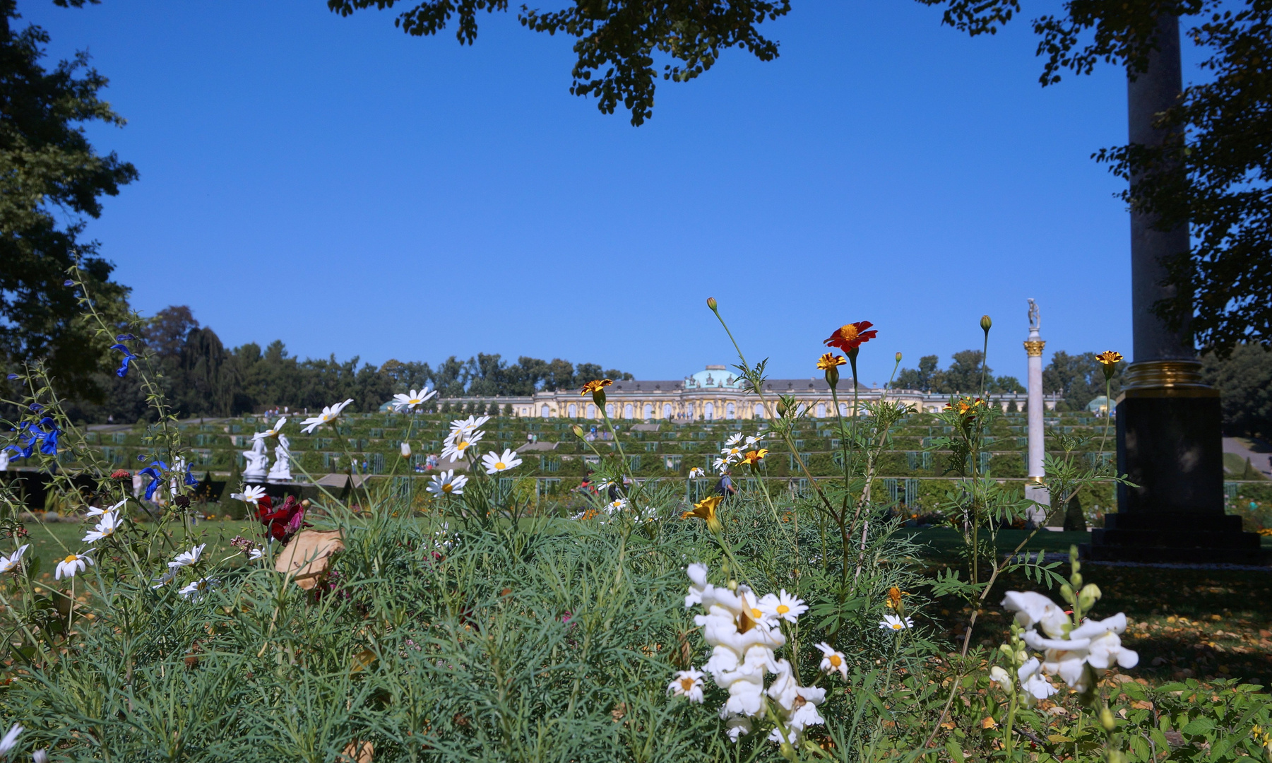 Schloss Sanssouci