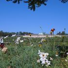 Schloss Sanssouci