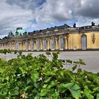 Schloss Sanssouci (französisch sans souci "ohne Sorge")...........