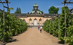 Schloss Sanssouci - Potsdam Mai 2022