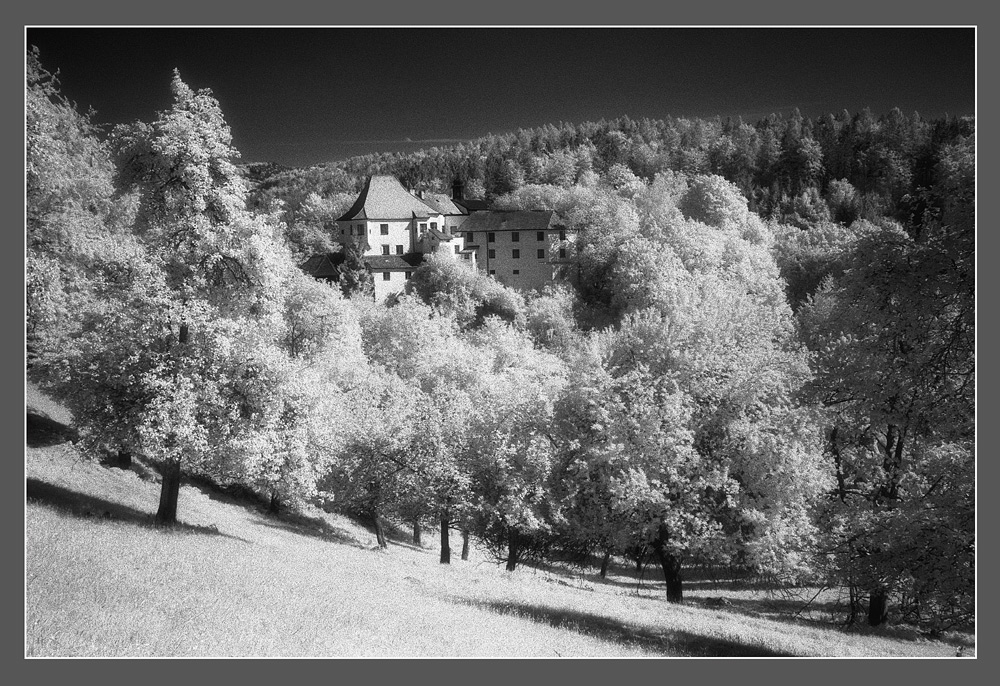 Schloss Saulburg