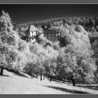 Schloss Saulburg