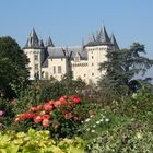 Schloss Saumur