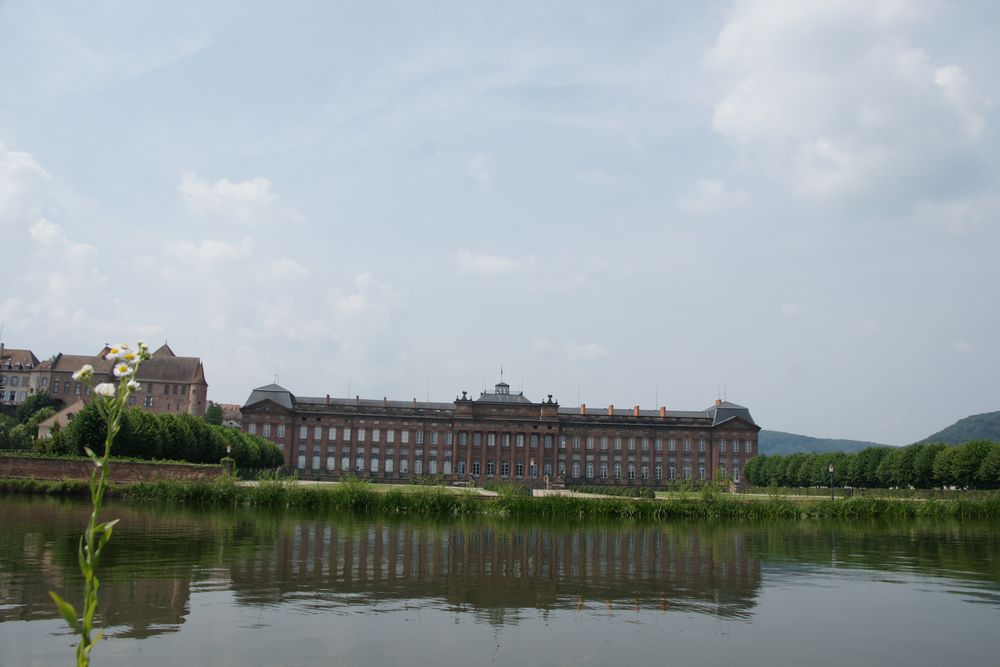 Schloss Saverne ( F )