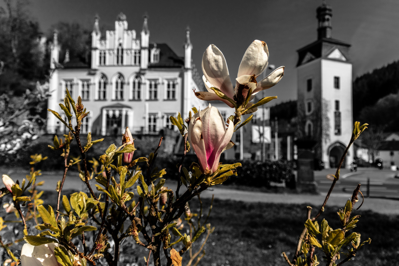 Schloß Sayn im Frühling