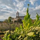 Schloss Schallaburg mit seinen Gärten