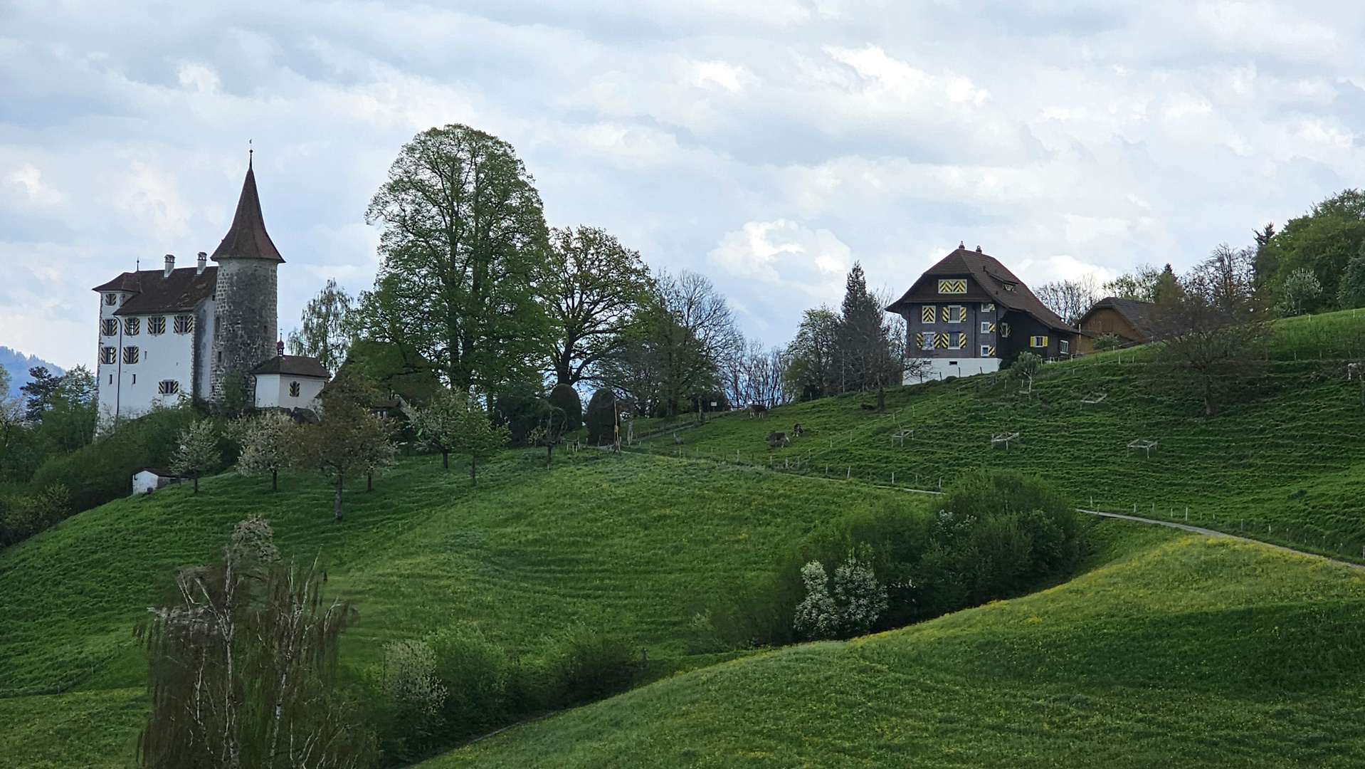 Schloss Schauensee