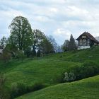 Schloss Schauensee