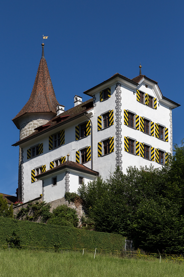 Schloss Schauensee