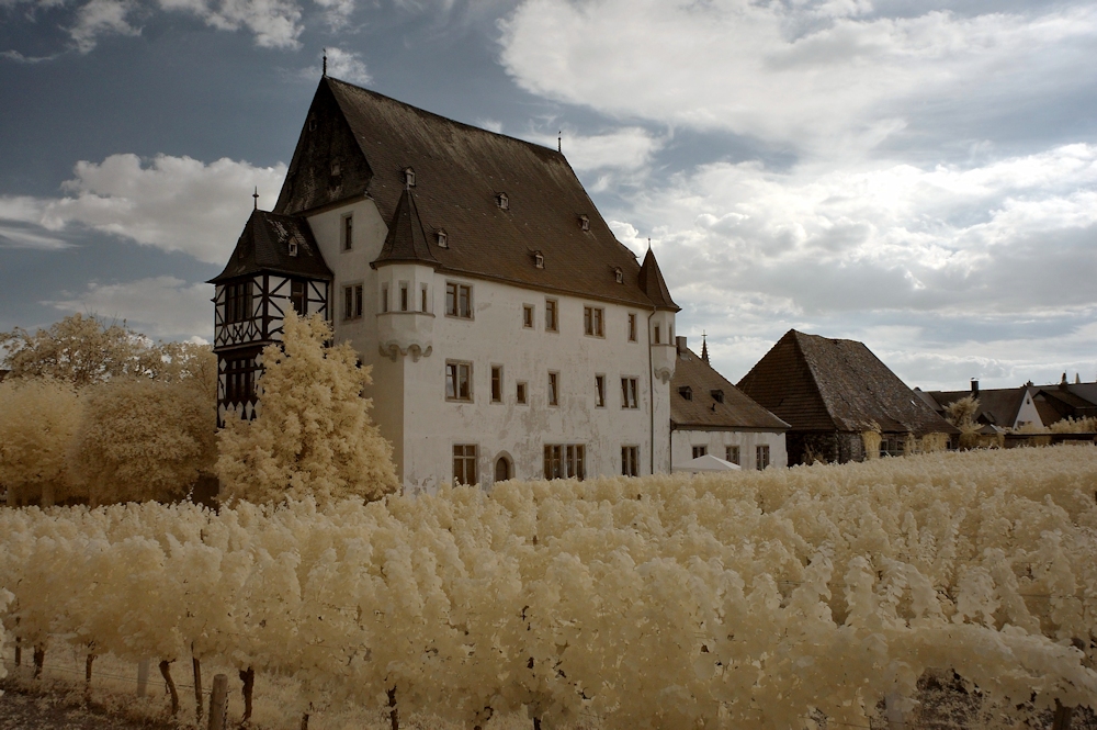 Schloss Schönborn