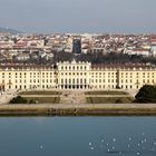 Schloss Schönbrunn