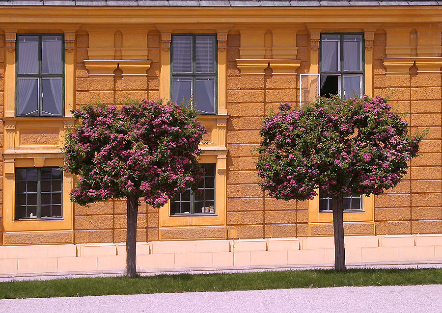 Schloss Schönbrunn