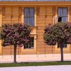 Schloss Schönbrunn