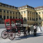 Schloss Schönbrunn