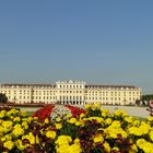 Schloss Schönbrunn ( A )