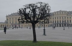 Schloß Schönbrunn bei Regen