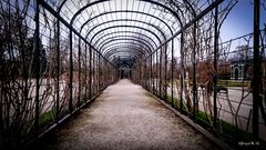Schloss Schönbrunn
