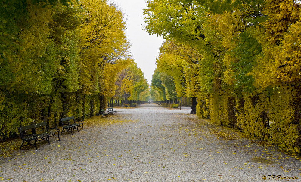 Schloss Schönbrunn - Der Garten