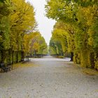 Schloss Schönbrunn - Der Garten