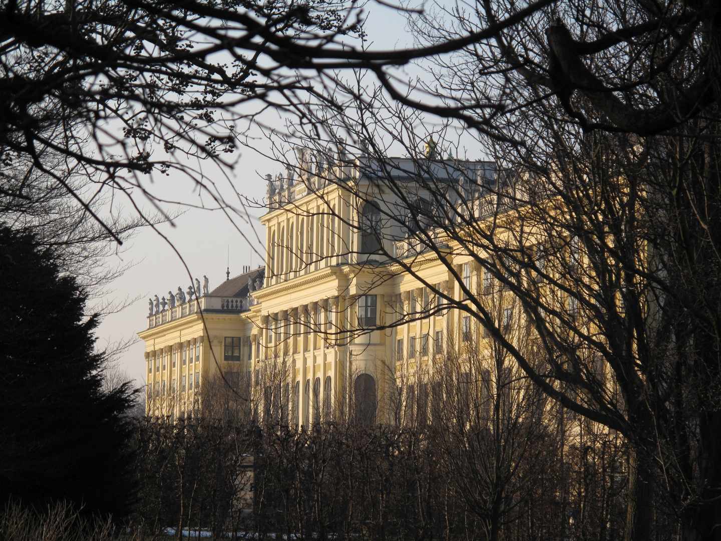 Schloß Schönbrunn durchs Gebüsch