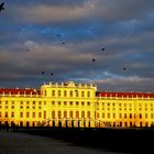 Schloss Schönbrunn in mystischer Abendstimmung