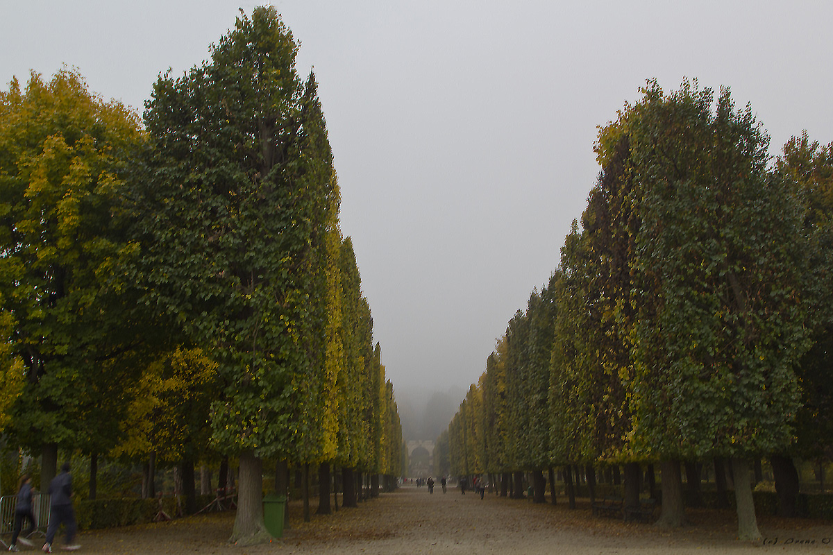 Schloss Schönbrunn, Parkanlage im Herbst