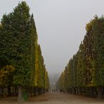 Schloss Schönbrunn, Parkanlage im Herbst