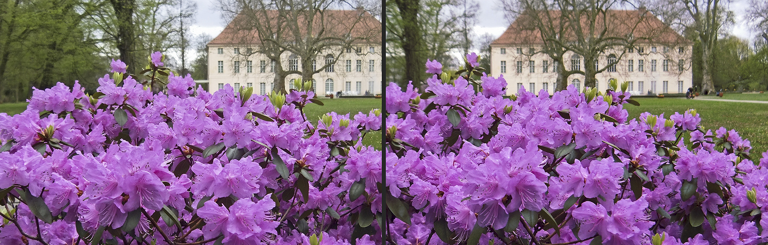 Schloss Schönhausen (3D)