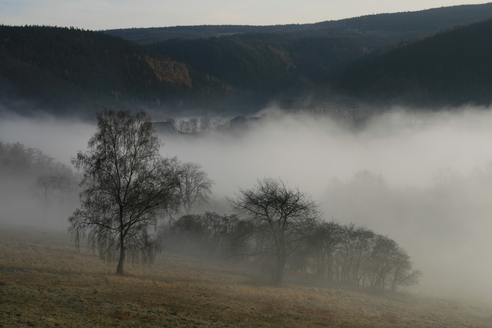 Schloß Schwarzburg hinterm Nebel