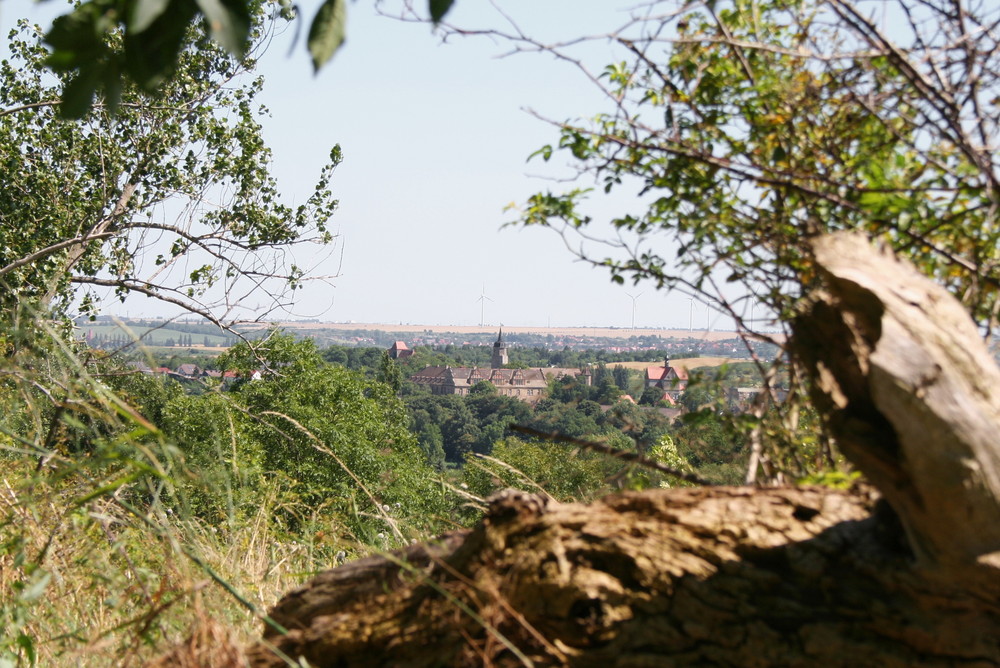 Schloss Seeburg