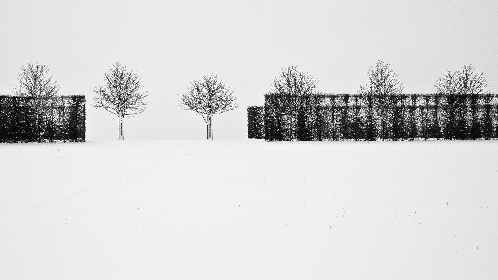 Schloss-Seehof im Winter 1