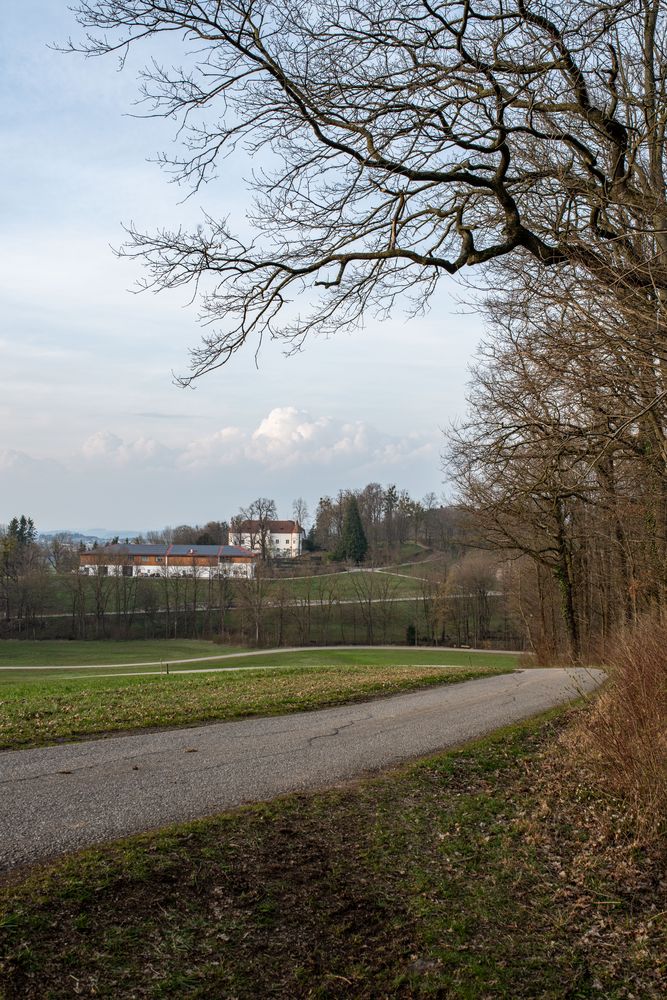 Schloß Senftenegg NÖ Foto & Bild natur, landschaft Bilder auf