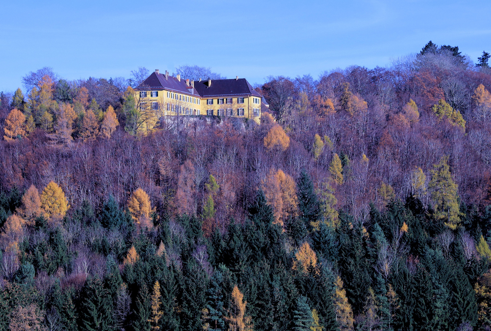 Schloß Seyfriedsberg