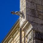 Schloss Sigmaringen der Wächter des Schlosses an einem sonnigen Wintertag