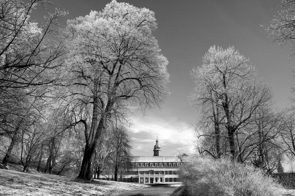 Schloß Sondershausen by M.Reichel 