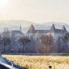 Schloss Spielfeld