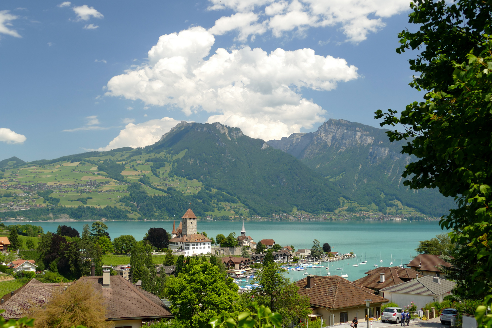 °°°° Schloss Spiez °°°°