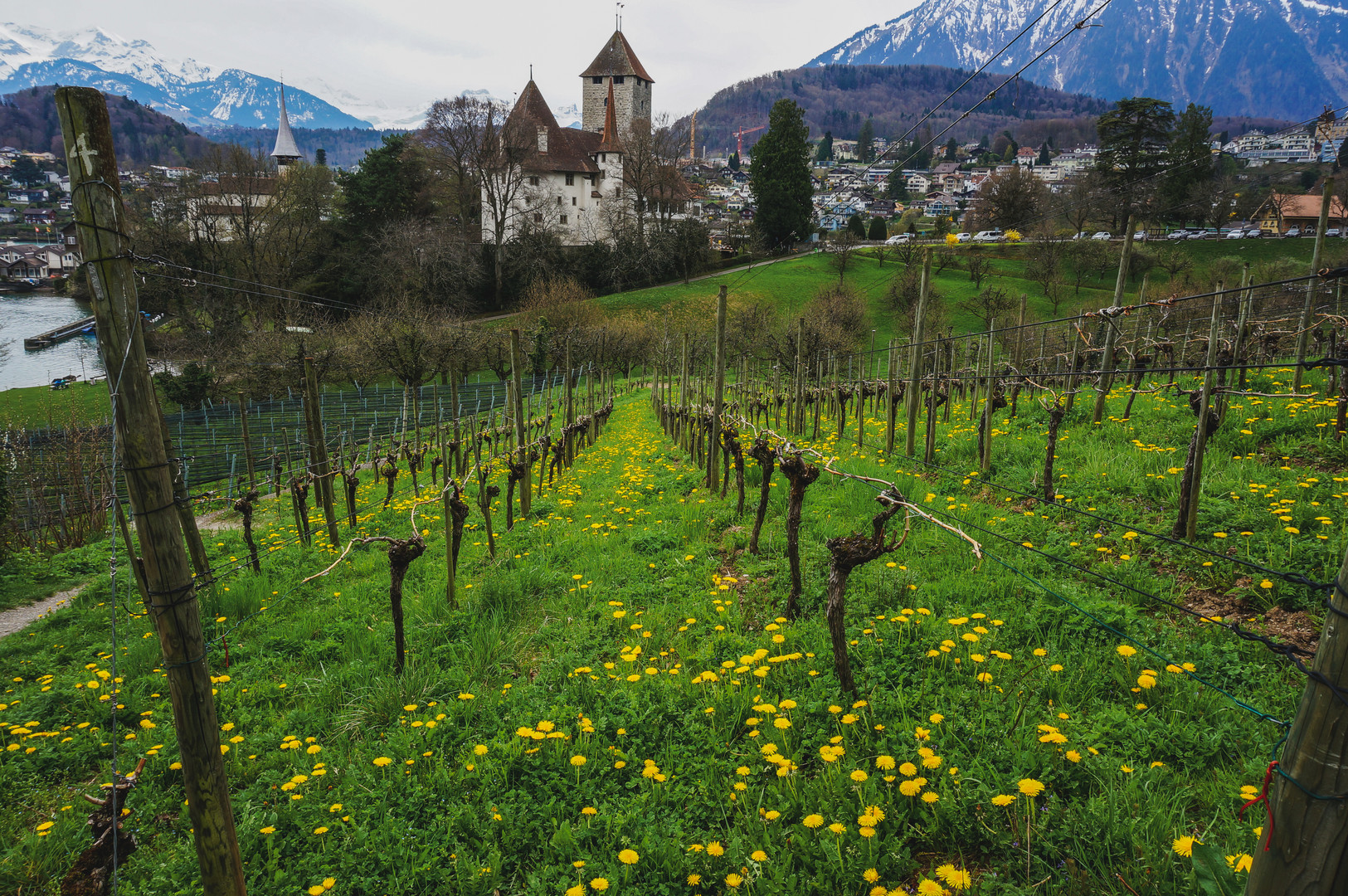 Schloss Spiez