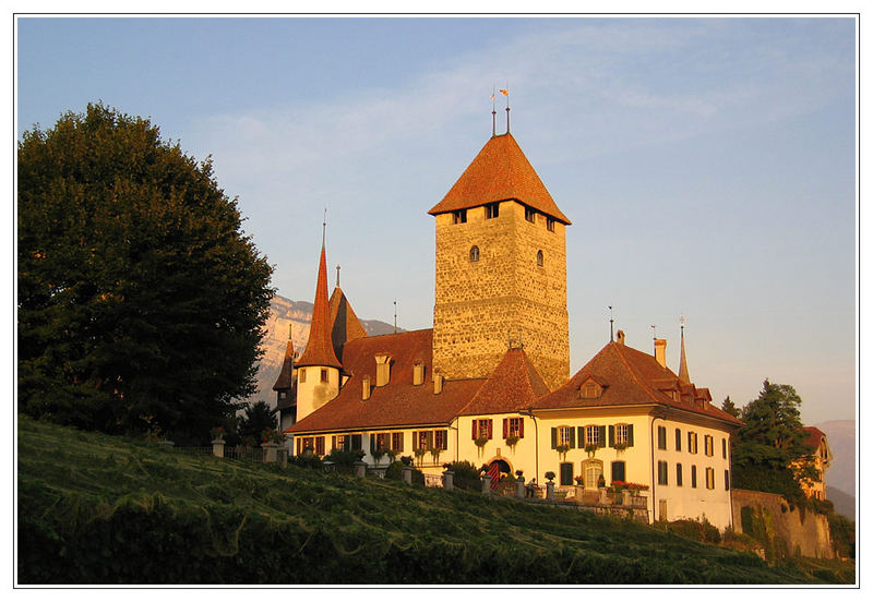 Schloss Spiez