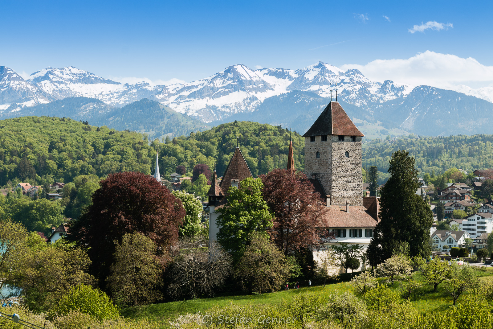 Schloss Spiez | Berner Oberland | Schweiz