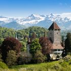 Schloss Spiez | Berner Oberland | Schweiz