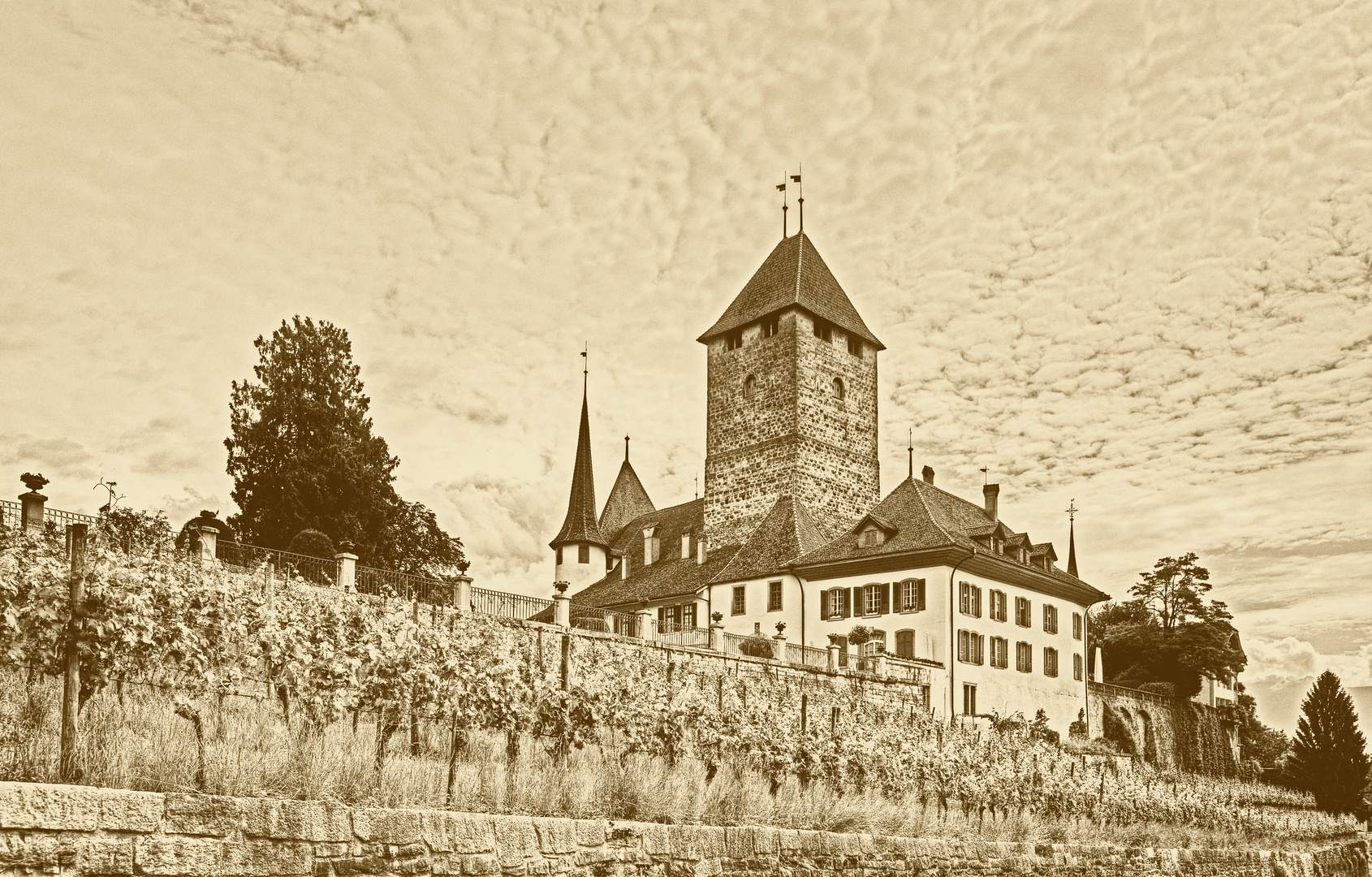 Schloss Spiez