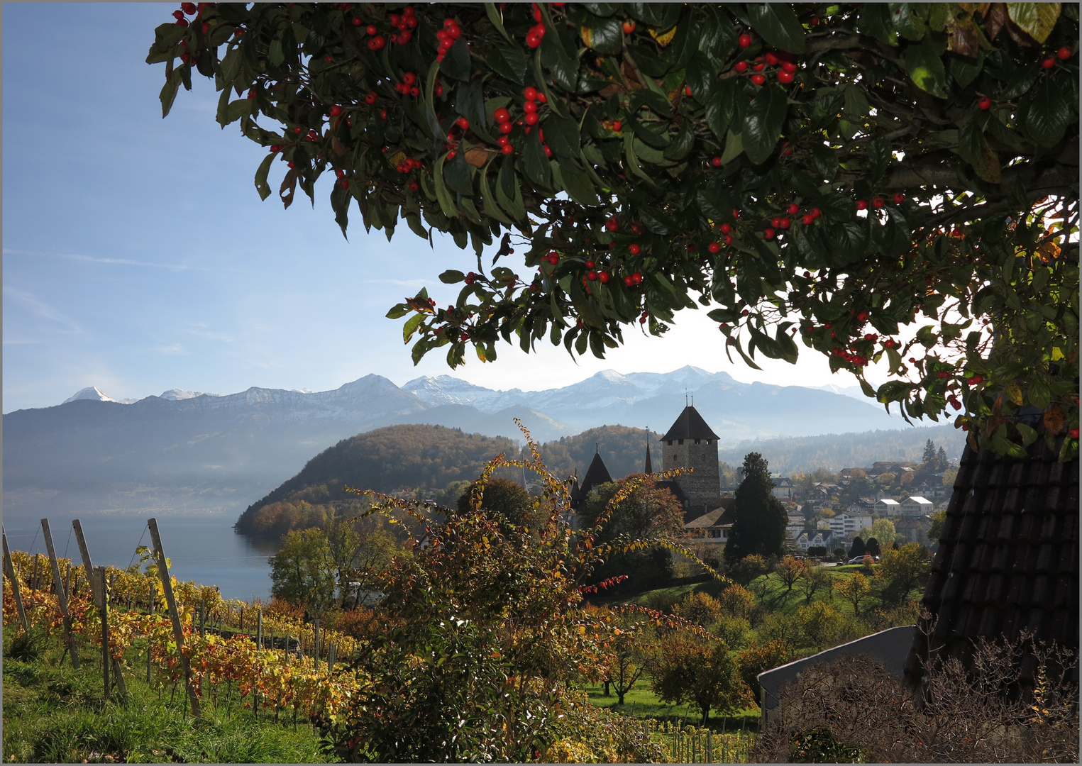 Schloss Spiez mit Thunersee