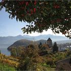 Schloss Spiez mit Thunersee