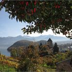 Schloss Spiez mit Thunersee