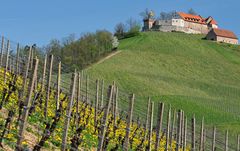 Schloss Staufenberg