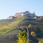 Schloss Staufenberg bei Durbach