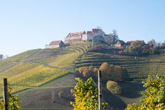 Schloss Staufenberg bei Durbach