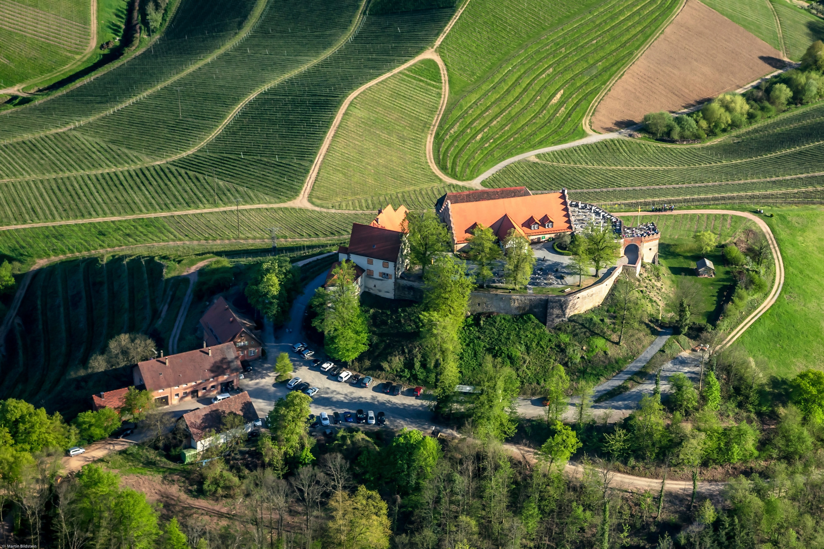 Schloss Staufenburg - Weingut 